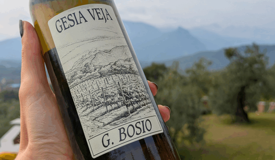 Baratuciat: de witte wijn uit Piemonte die je (nog) niet kent